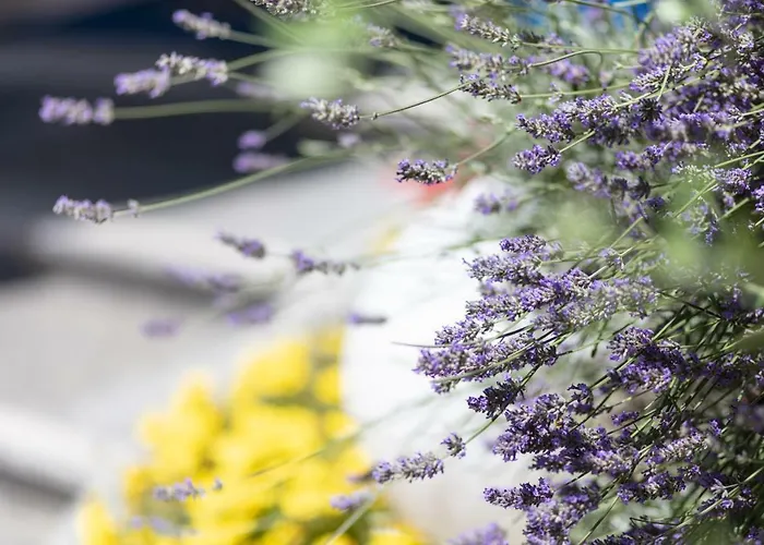 Aspe Готель 3*